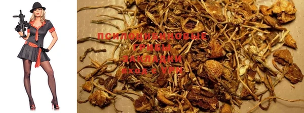 прущие крисы Пересвет